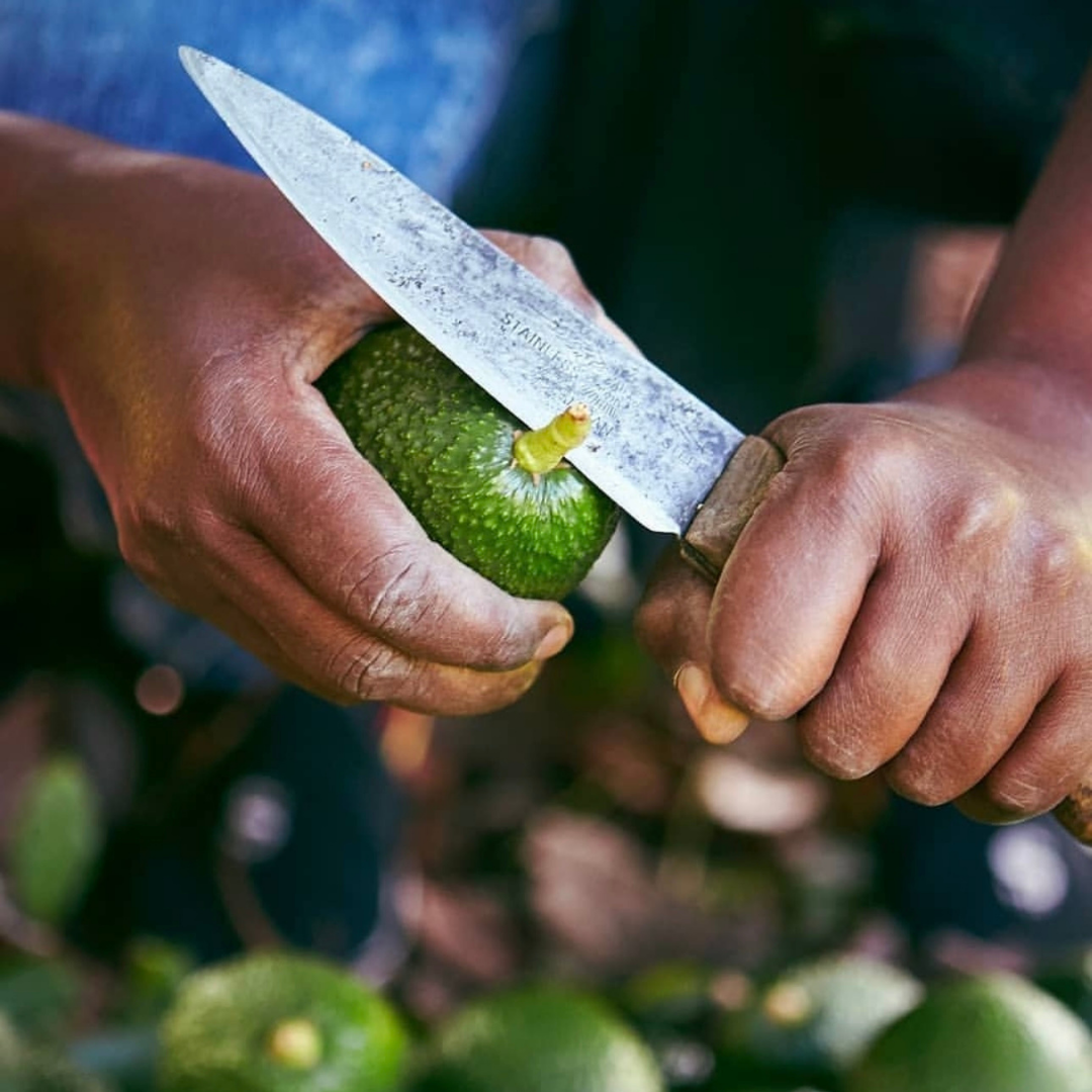 Tip the Farmers