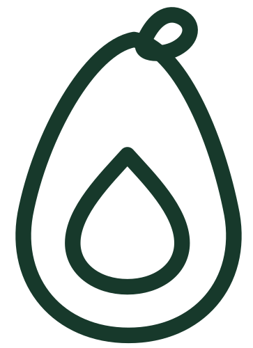 Avocado outline icon in Bwindi Green
